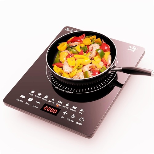 Plaque induction 2200w - induction,,