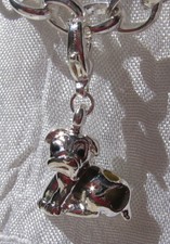 1 CHARM BRELOQUE SUR