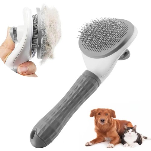 Brosse pour entretien - brosse, l'entretien