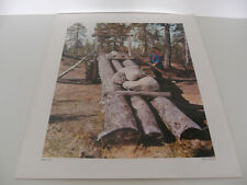 ANCIENNE PLANCHE AFFICHE