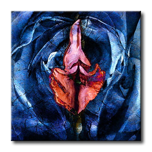 Vends vagin sur toile - vagin,