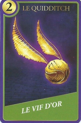 Carte harry potter - harry,