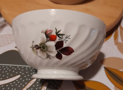 Bol porcelaine limoges - en,