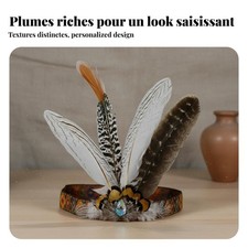 Coiffe Indienne à Plumes Fait