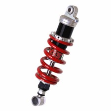 TRIUMPH T595 DAYTONA / T509