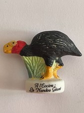 Fève - A l'Eocène  le nandou