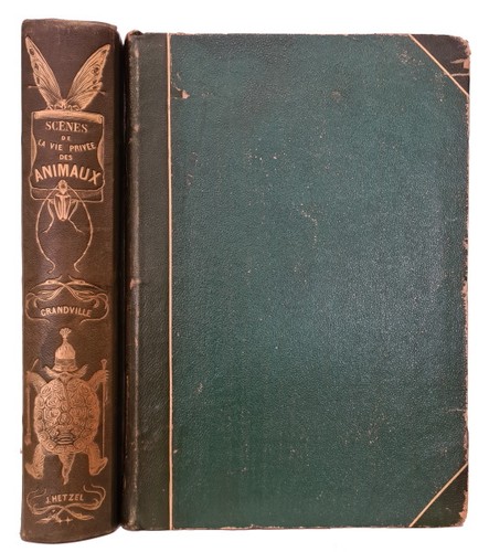 Grandville scènes la vie - scènes, de
