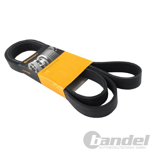 Continental courroie avx10x625 - continental,