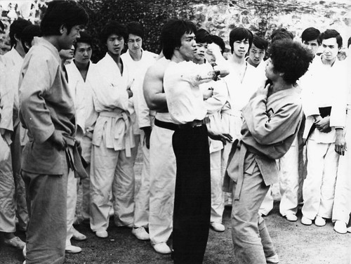 Bruce lee kung fu - bruce,