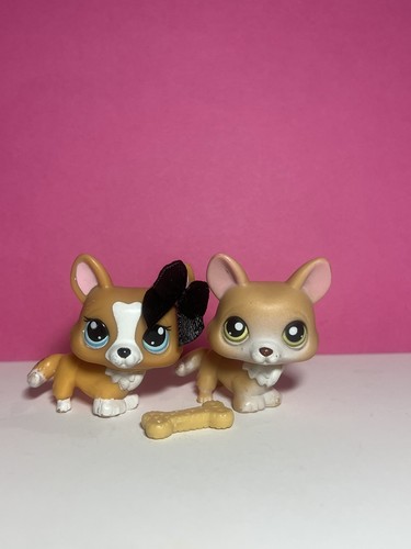 Littlest pet shop - 🌸littlest,
