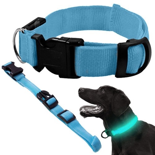 Collier lumineux led - collier,