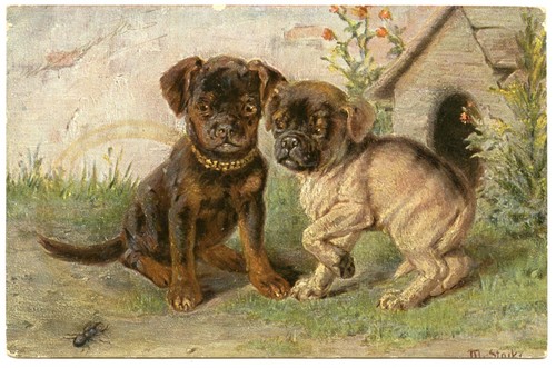 Illustrateur signé chiens - illustrateur, .