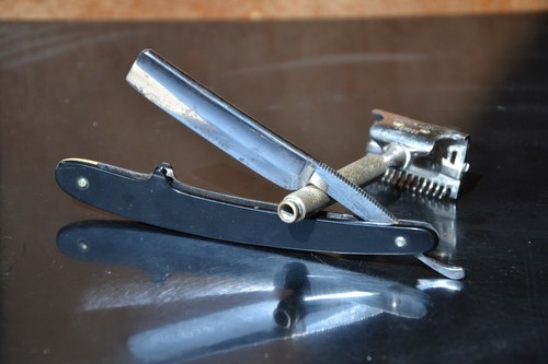 Coupe chou torrey 1905 - chou,