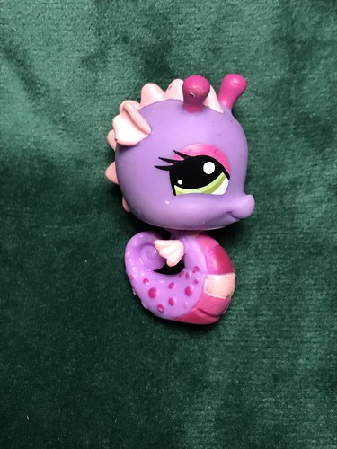 Petshop hippocampe - 💖petshop,