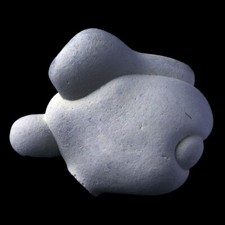 ★☆ GOGOTTE MAROC de