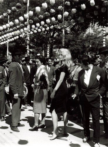 Brigitte bardot photo - bardot, cinema
