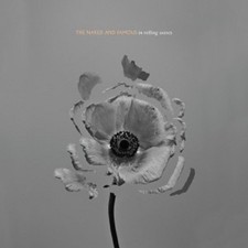 THE NAKED AND FAMOUS - IN