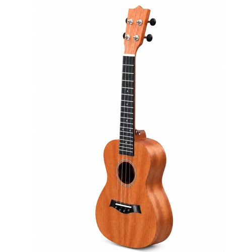Concert size ukulele package - concert,