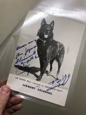 Bill la Vedette de l'Ecran