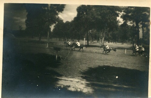 Photo horse race on the - of,