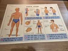 Carte Affiche Scolaire MDI : Notre Corps, Nos Os