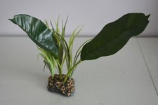 Terrarium Vivarium Large Evergreen Canopée Plante 11 x 8 x 30 CM Reptiles Frogs