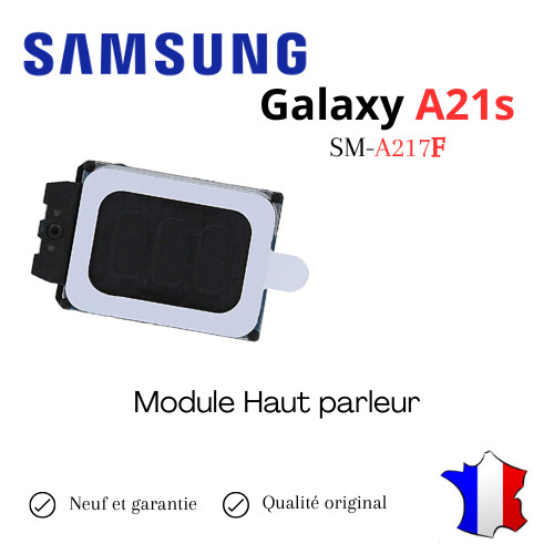 Module haut parleur interne - module,