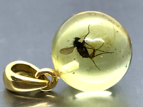 Pendentif ambre cadeau - ambre, insect