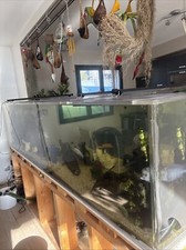 cuve aquarium acrylique