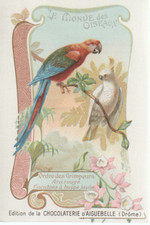 Chromo Aiguebelle le monde des oiseaux. ordre des grimpeurs, Ara rouge, Cacatoes