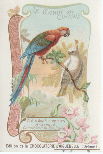 Chromo aiguebelle monde des - chromo,