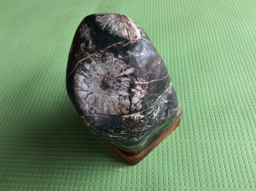 Suiseki bonseki bonsaï - bonseki, jardin