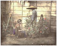 Japan, Nursery Plant Seller vintage albumen print Tirage albuminé rehaussé  