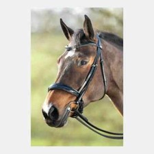 HFI - Bridon "Weymouth"