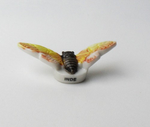 Cyb fève papillon - cyb, -smg