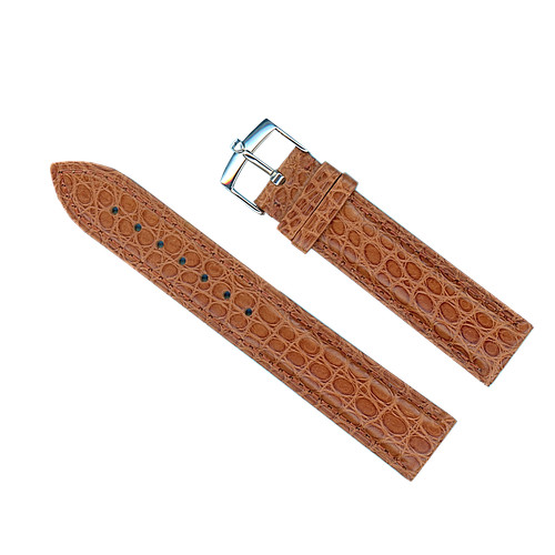 Véritable alligator marron - alligator,