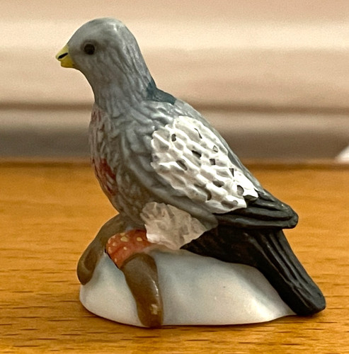 Belle fève mat oiseau - belle,