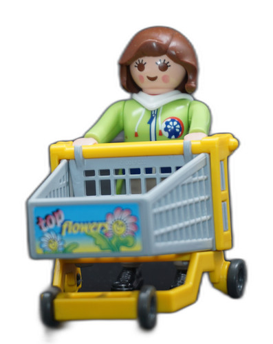 Playmobil femme avec chariot
