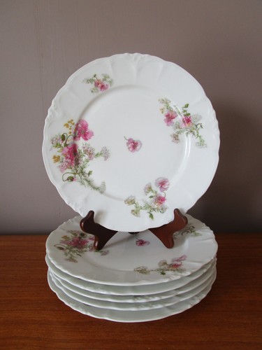 Assiettes plates 5 cm - plates,