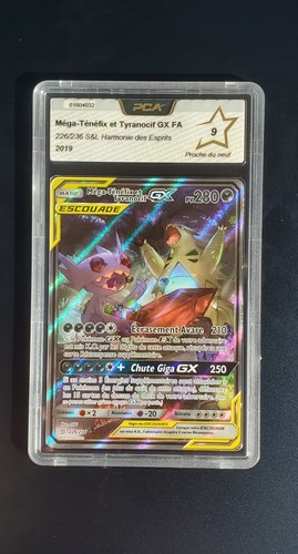 Carte pokémon méga ténéfix - carte, méga-ténéfix