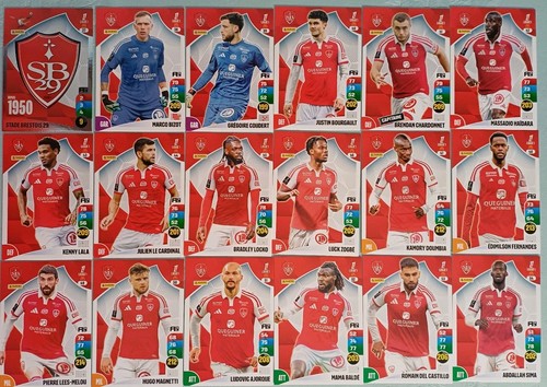 Panini adrenalyn ligue1 - panini,