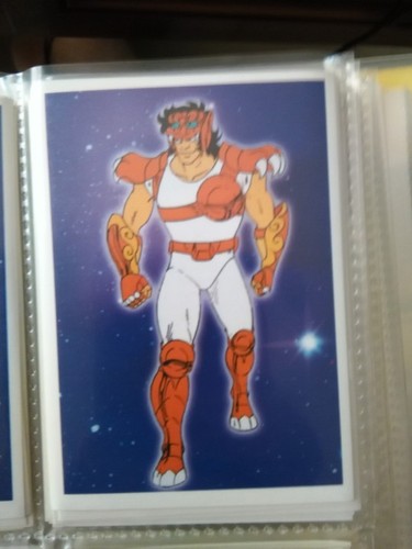 Saint seiya chevaliers - saint,