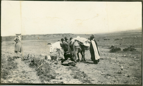 Maroc abreuvoir des chevaux - l'abreuvoir,