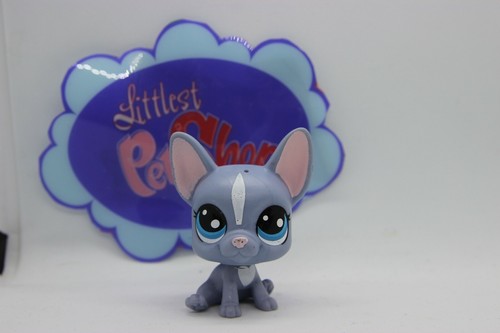 Petshop chien bouledogue - petshop,