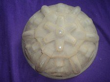  VASQUE MULLER  DEGUE LAMPE