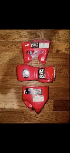 Cleto reyes sparring - cleto,
