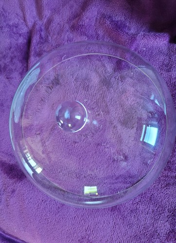 Grande cloche verre pour - en,