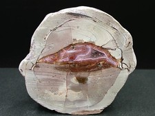 TRANCHE D'AGATE POLIE -