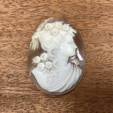 Véritable Camée Coquillage