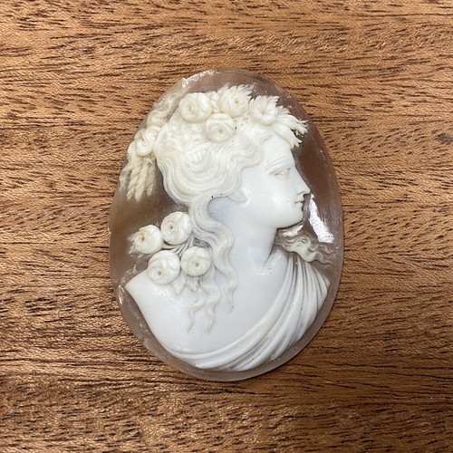 Véritable camée coquillage - véritable,